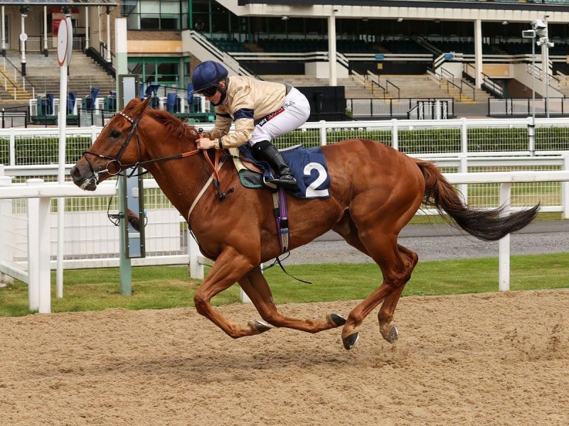 GLEN SHIEL (Hollie Doyle) wins at NEWCASTLE 27/6/20
Photograph by Grossick Racing Photography 0771 046 1723
