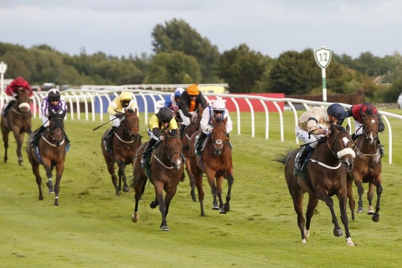STARS IN THE NIGHT and Kevin Stott win the New Sporting Life App Maiden Stakes Trained by Kevin Ryan
Owned by Hambleton Racing Ltd XVI
Catterick Racecourse 22nd July 2020
Pic Louise Pollard