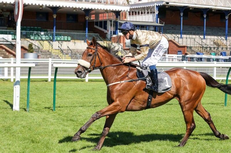 SOARING STAR (Kevin Stott) wins at AYR 24/8/20
Photograph by Grossick Racing Photography 0771 046 1723