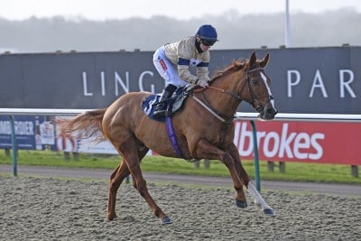 Going Places wins at Lingfield