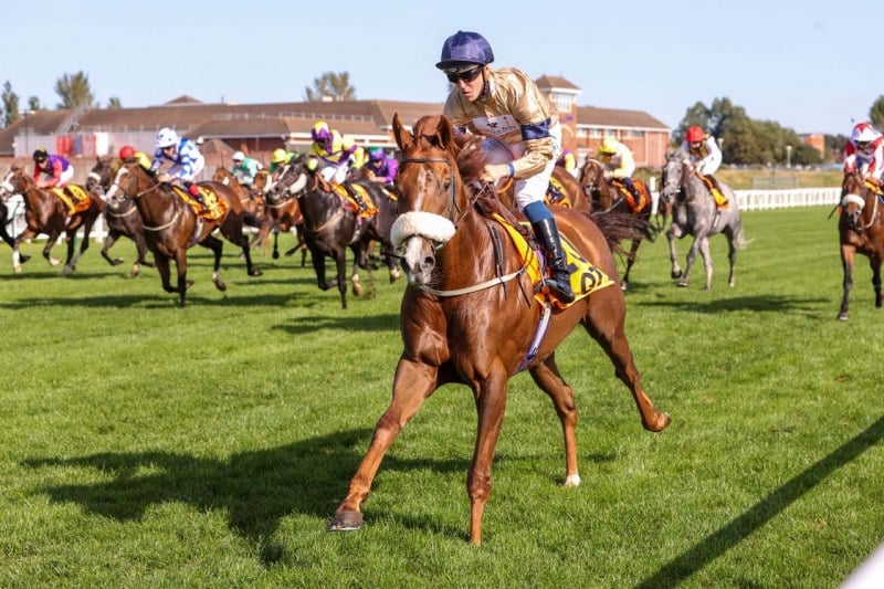 MAGICAL SPIRIT (Kevin Stott) wins the QTS SILVER CUP at AYR 19/9/20
Photograph by Grossick Racing Photography 0771 046 1723