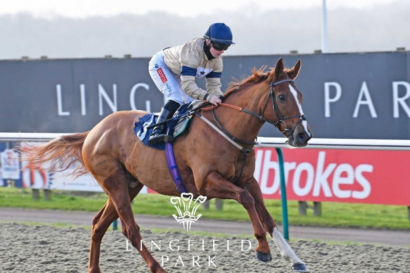 Going Places win Lingfield Park