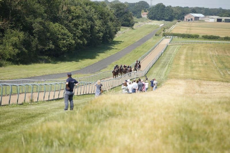Owners watching on gallops