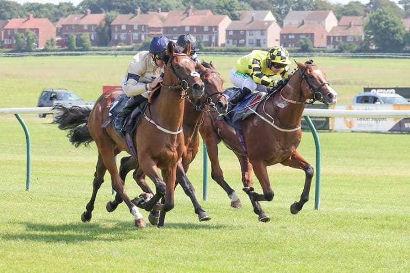 FELL THE NEED Ridden by Daniel Tudhope wins at Ayr 18/7/22
Photograph by Grossick Racing Photography 0771 046 1723