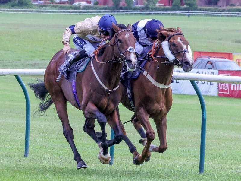 NOBLE ANTHEM Ridden by Paul Mulrennan (Left) wins at Ayr 3/7/22
Photograph by Grossick Racing Photography 0771 046 1723