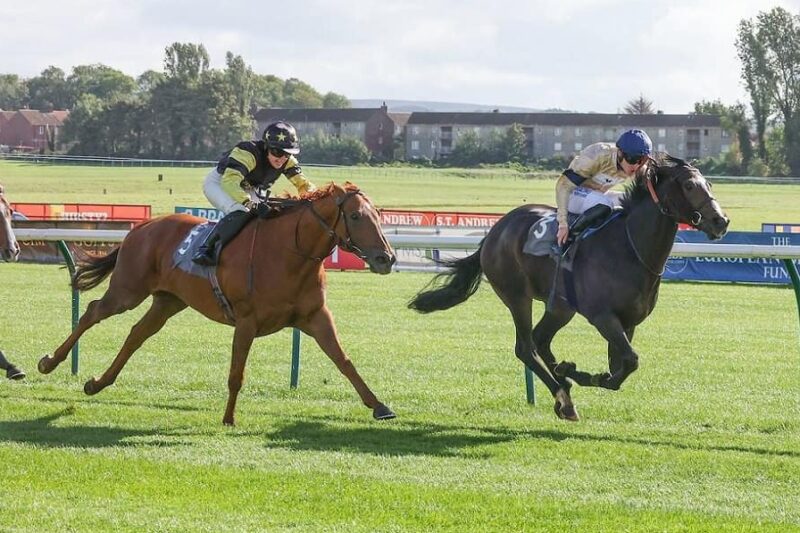 SHALADAR Ridden by Oisin McSweeney (Navy Blue Cap) WINS At Ayr 27/9/22
Photograph by Grossick Racing Photography 0771 046 1723