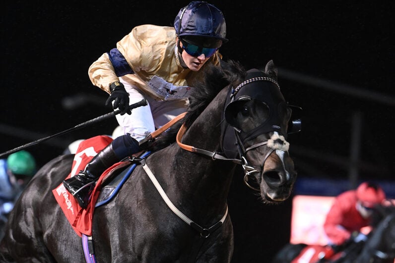 Spartan Arrow close home Dundalk horse racing syndicate hollie doyle