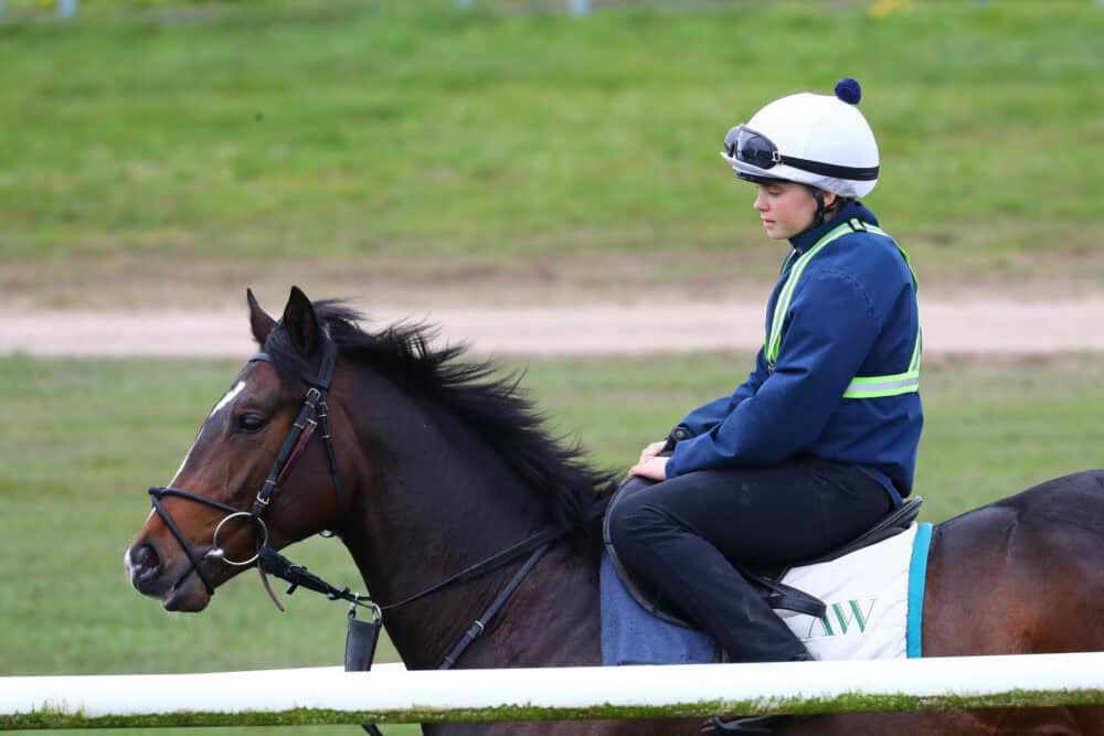 Archie Mace Racing Two naming mornings at Archie's | Lambourn naming days