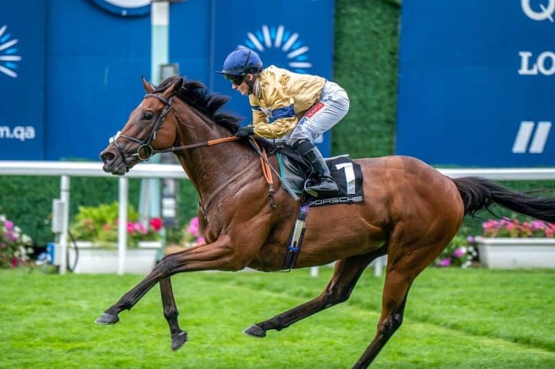 Tempus &amp; Hollie Doyle