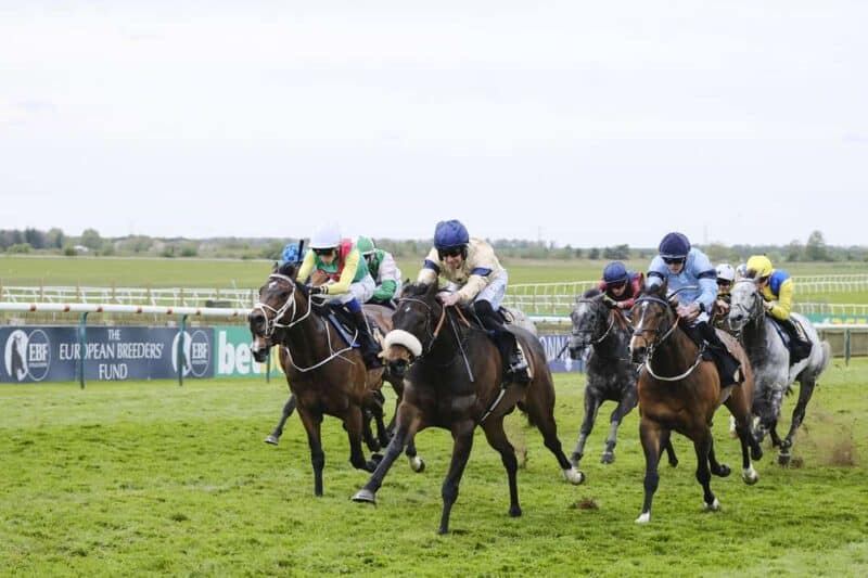 Washington Heights wins G3 Abernant Stakes for Hambleton Racing Horse Racing Syndicate on top