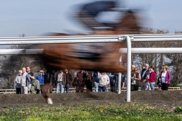 Owners on gallops Tom Clover