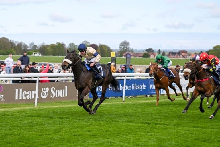 Horse Racing Syndicates | Racehorse Syndicates | Hambleton Racing