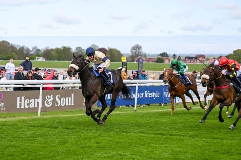 Tropical Dreamer wins on debut Tropical Dreamer wins on debut