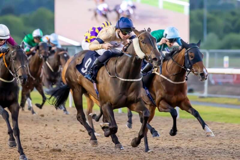 Dream Illusion winning at Wolverhampton.