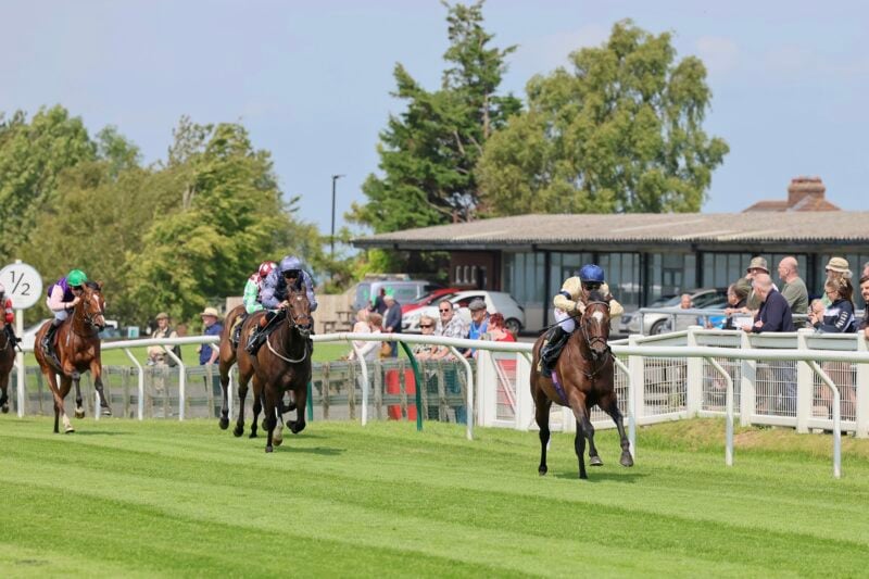 Dapper Charm winning at Carlisle.