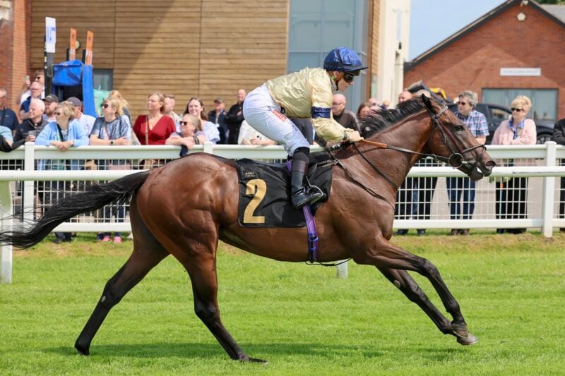 Dapper Charm and Hollie Doyle win.