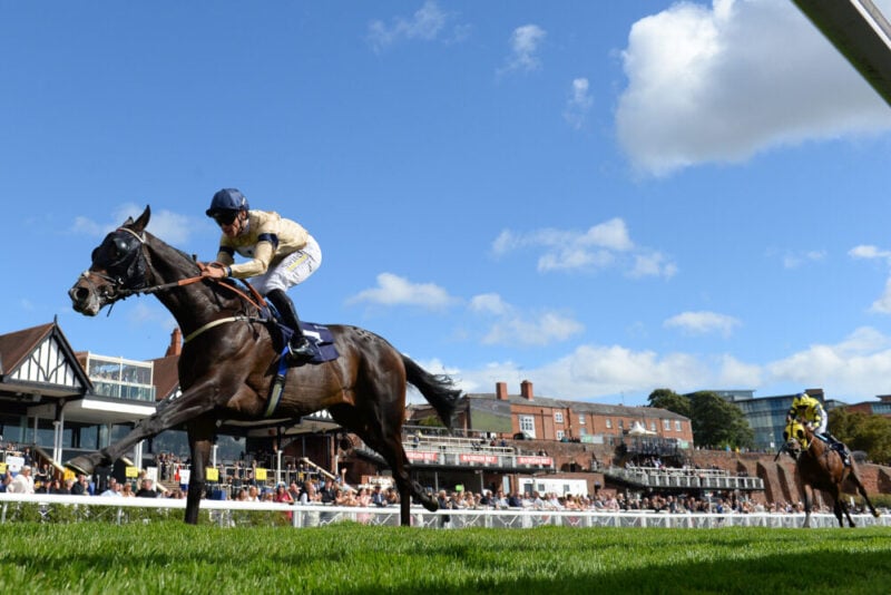 Gentle Warrior clear close home Chester horse racing syndicate Karl Burke