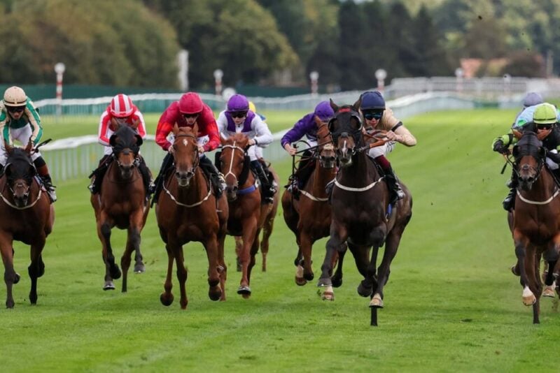 Gentle Warrior pulls clear to victory at Haydock.