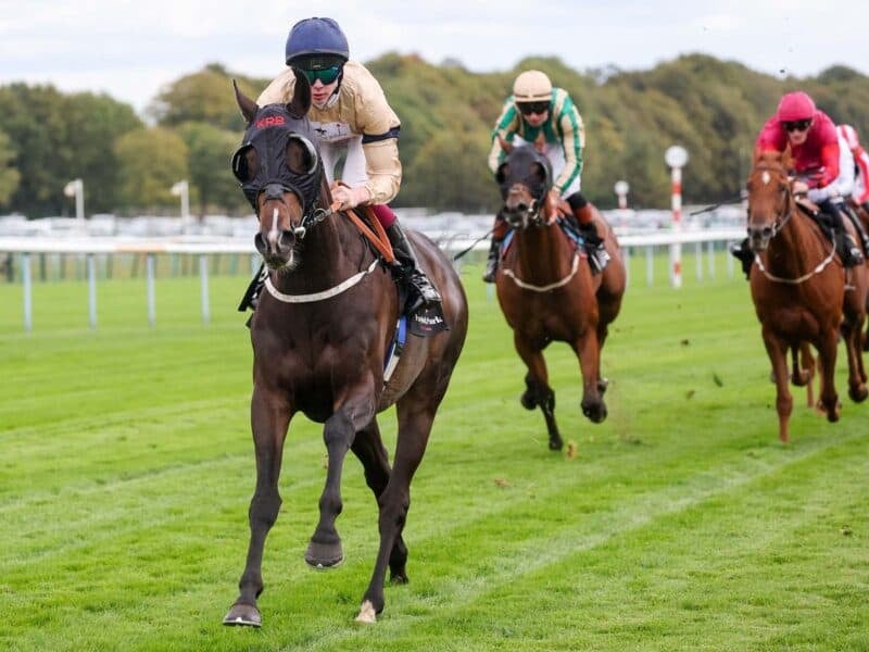 Gentle Warrior winning easily at Haydock.