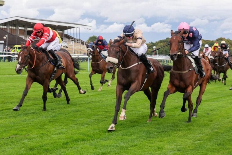 Ribble River winning at Haydock under Henry Callan.