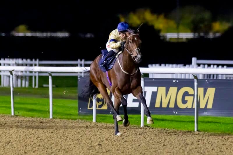 Coronado King
4/7F

Create Your Bet Builders At Midnite Maiden Stakes (GBB Race)
6f

Trained by Archie Watson for Hambleton Racing Ltd Xxxvii &amp; Partner
Ridden by Hollie Doyle

Wolverhampton 28th October 2025