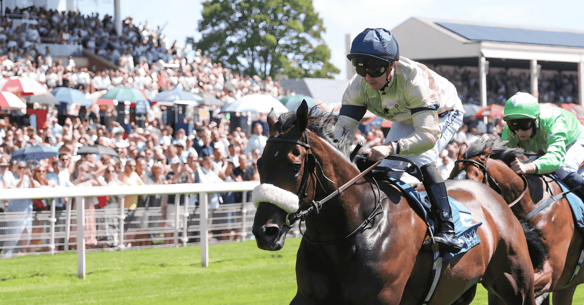 Horse Racing Syndicates | Racehorse Syndicates | Hambleton Racing