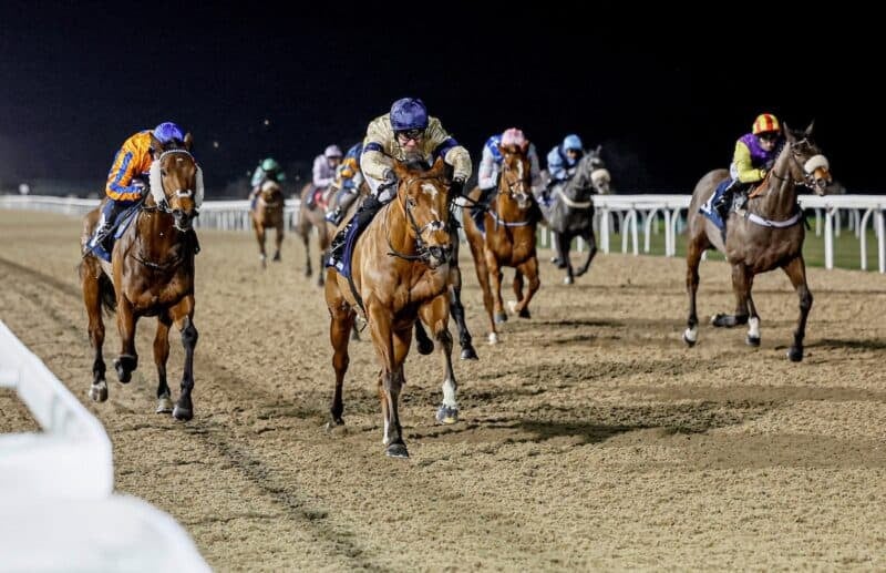 Lord Capulet on his way to winning at Newcastle for Hambleton Racing.