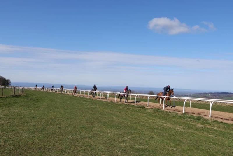 horses exercising on the beautiful gallops at Hambleton Lodge Stables