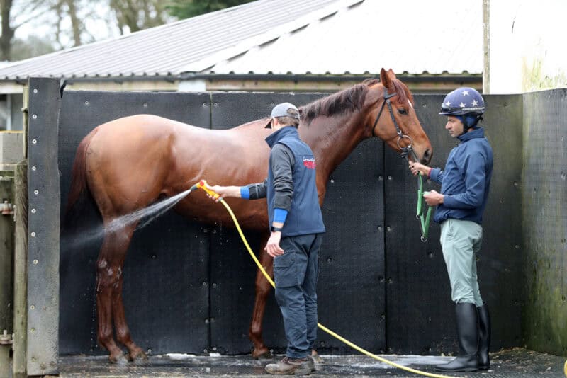 A racehorse gets washed off at Kevin Ryan's stables