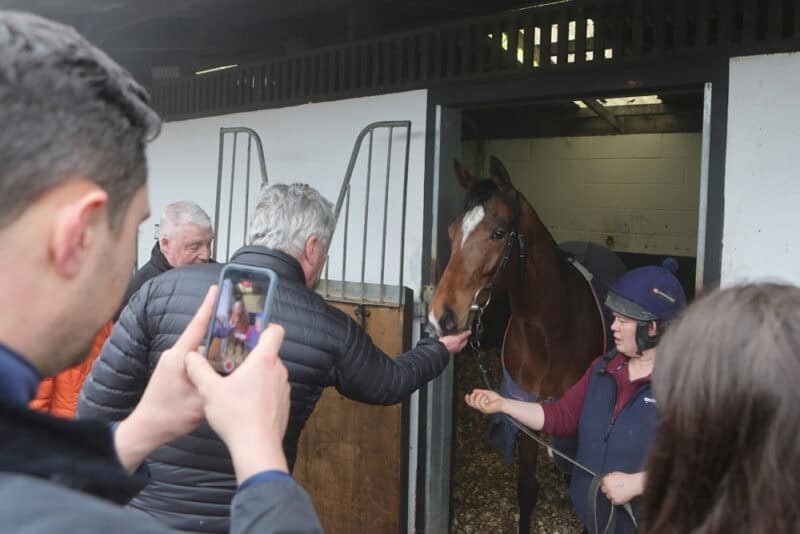 An owner takes a picture of their racehorse whilst others say hello to him