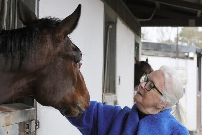 A lady with grey hair pats a racehorse at the stables