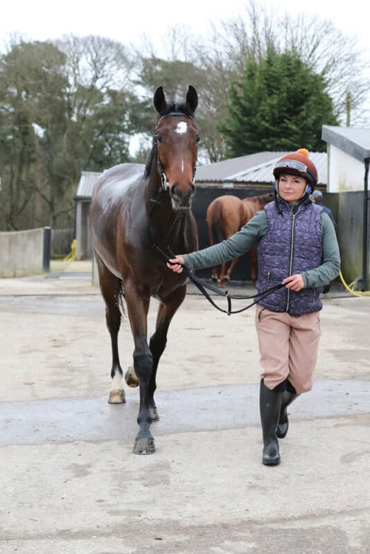 A racehorse called Kodiak Breeze walking with his rider after being ridden at Kevin Ryan's stables