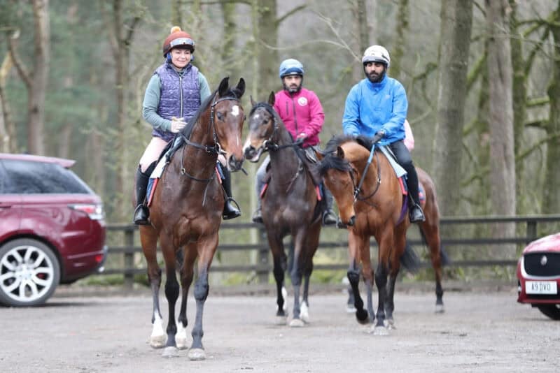 A racehorse called Kodiak Breeze walks back in to the stables with his rider after being ridden