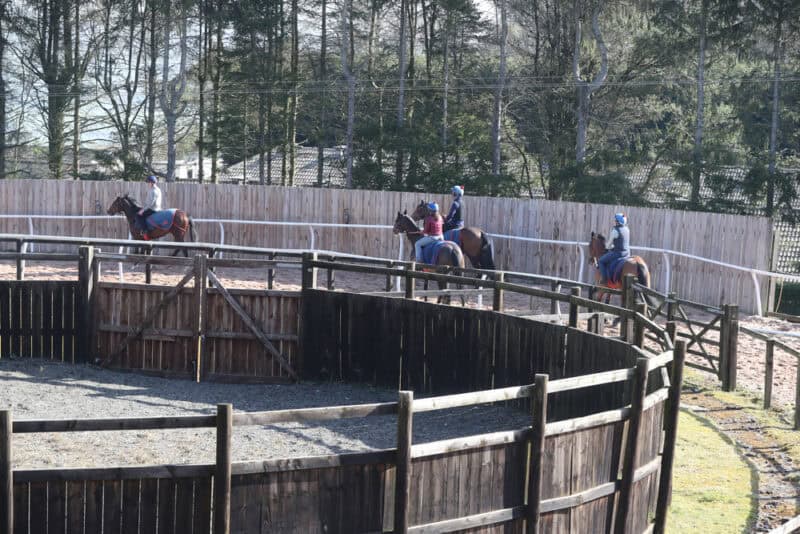 Hambleton Racing horse training with riders on a sunny outdoor track.