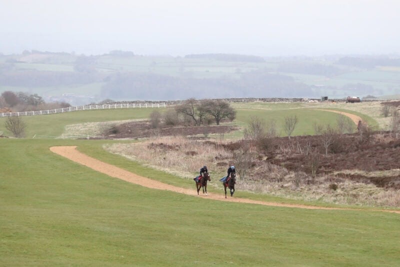 Hambleton Racing Vegasmile exercising on High Moor gallops in Middleham