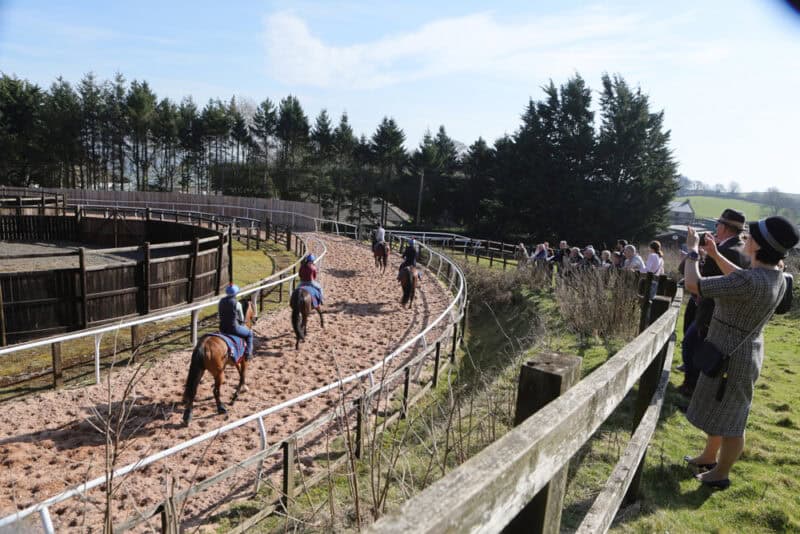 Hambleton Racing owners watching their horses exercise on a stable visit to Karl Burke's yard