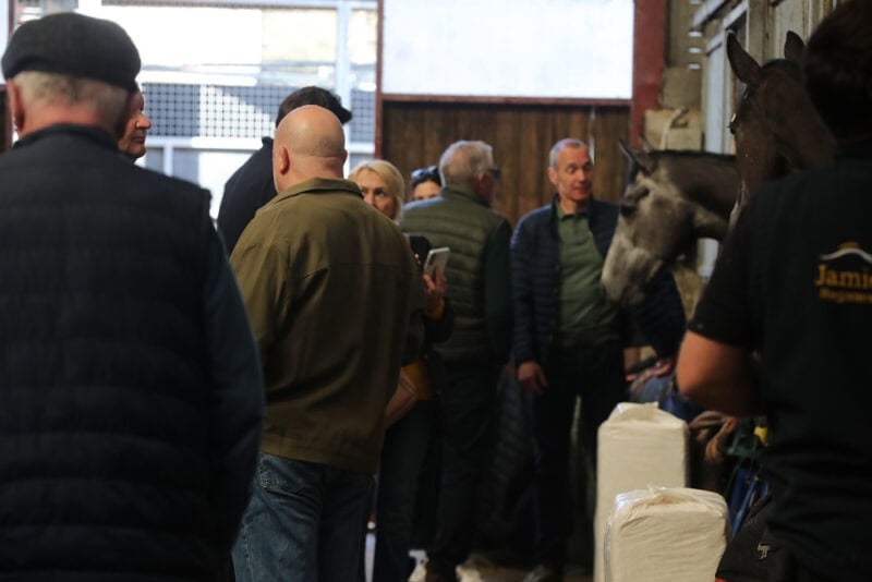Hambleton Racing stable visitors and staff engaging with racehorses in their stables.