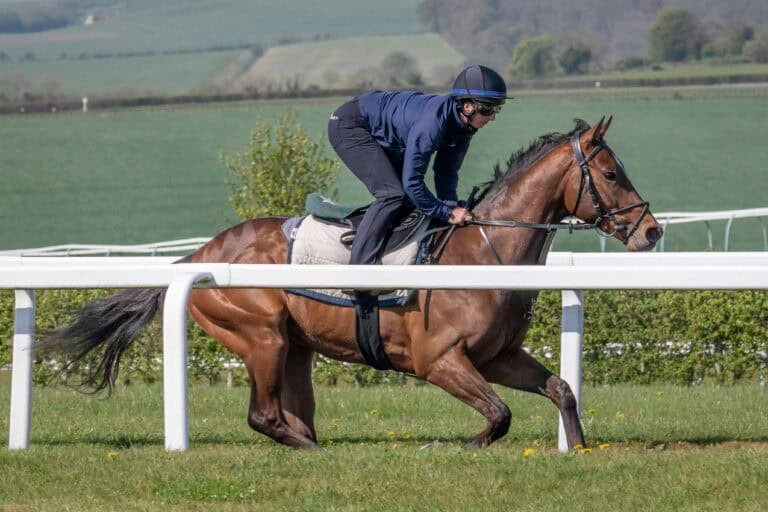 The racehorse Able Tasman galloping in Lambourn.