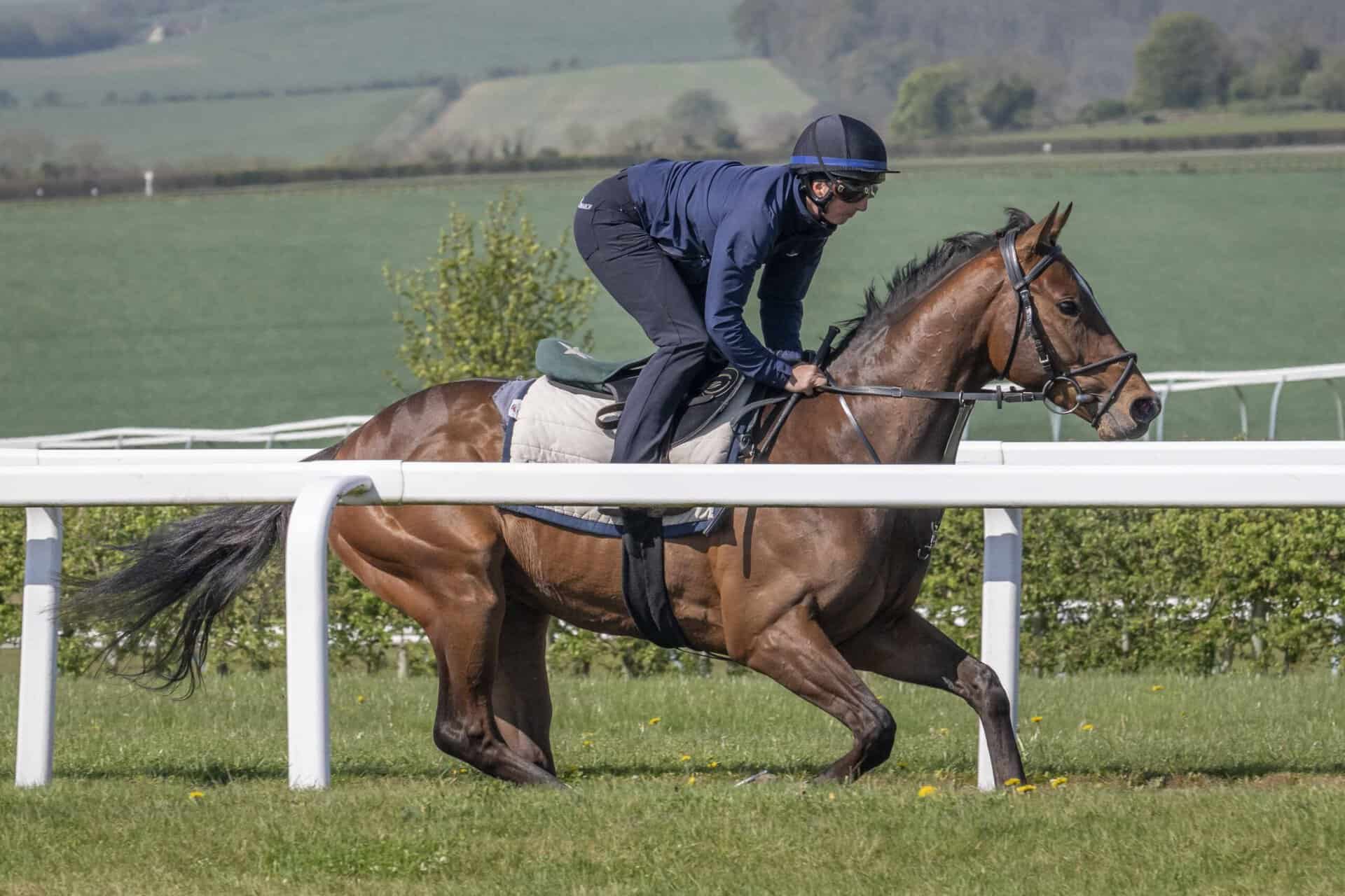 Archie Watson Syndicate | Lambourn | Hambleton Racing