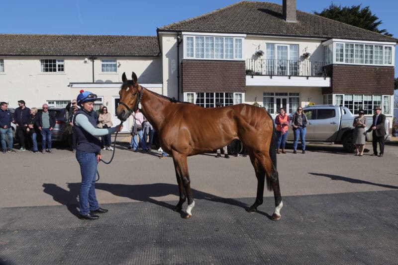 Hambleton Racing horse being showcased at a social event.
