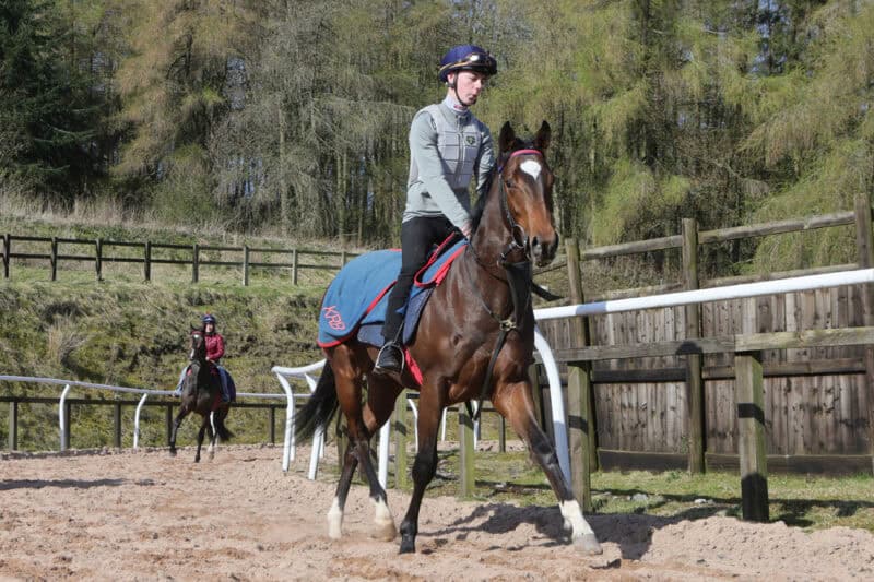 Hambleton Racing horse exercising at Karl Burke's stables.