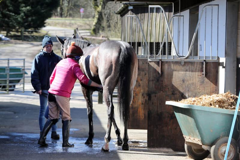 Sea Mirage being washed off after exercise at Kevin Ryan's