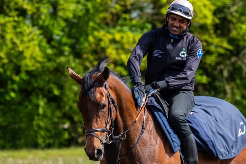 A horse returning from exercise on Newmarket's gallops