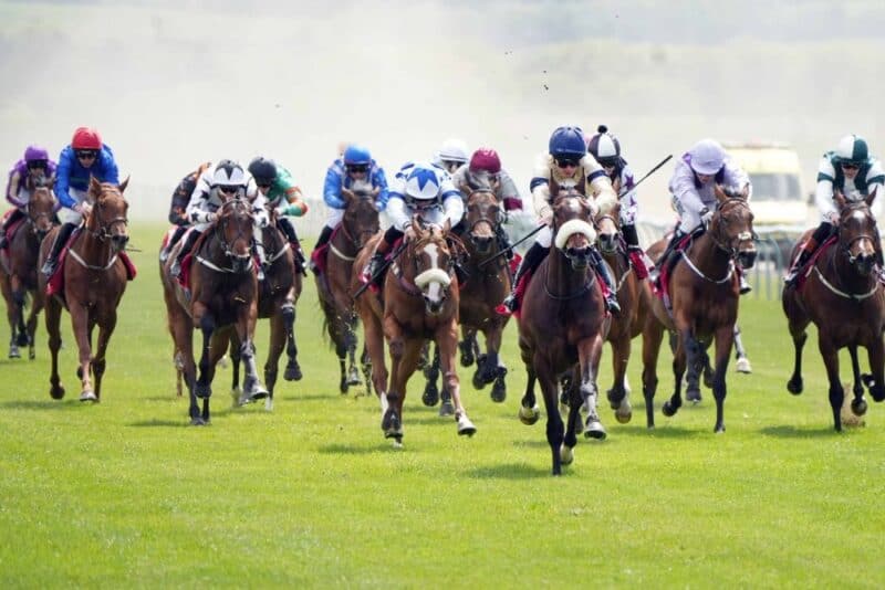 The racehorse Kodiak Breeze winning at Redcar.