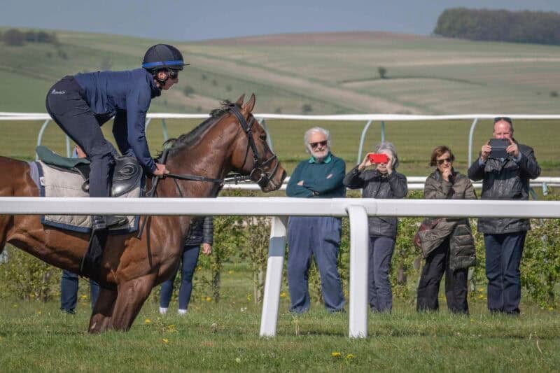 A group taking photos of their racehorse on the gallops.