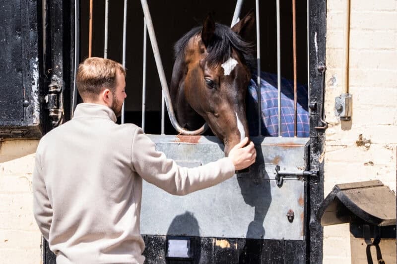 Owner with a horse at Tom Clover's yard.