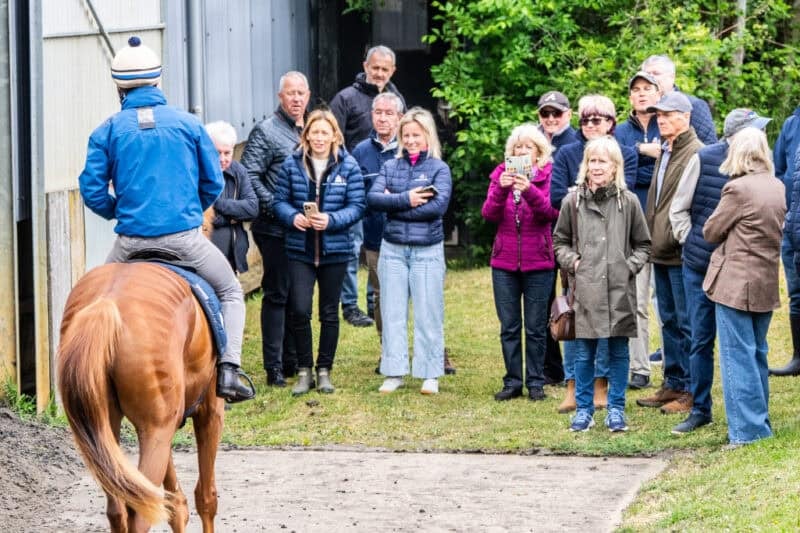 Hambleton Racing owners watching their horses at Tom Clover's.