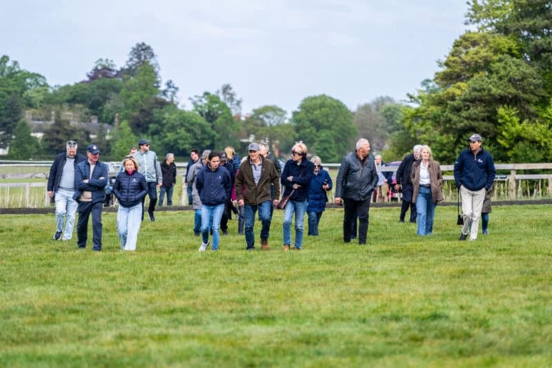 Tom Clover walking with owners onto Warren Hill.