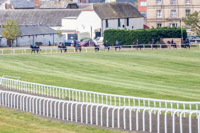 Tom Clover string heading out to the gallops.