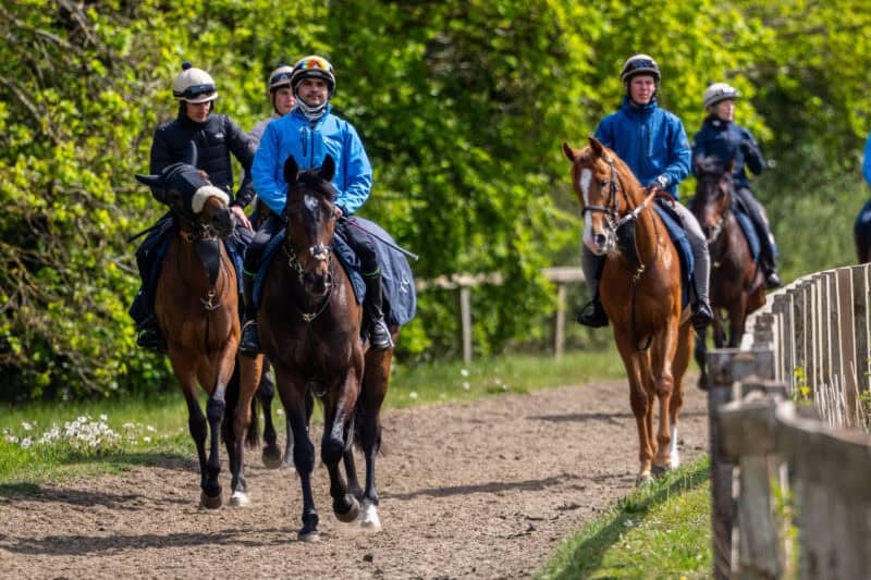 Tom Clover's string returning from exercise.